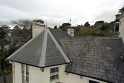 fkillineybeforeexternal 1520.jpg